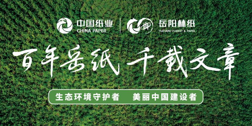 岳阳林纸2021年度业绩说明会