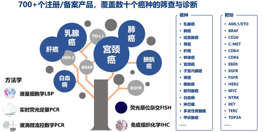 安平SEO实践指南：从入门到精通的全面解析 (安平seo网站快排)