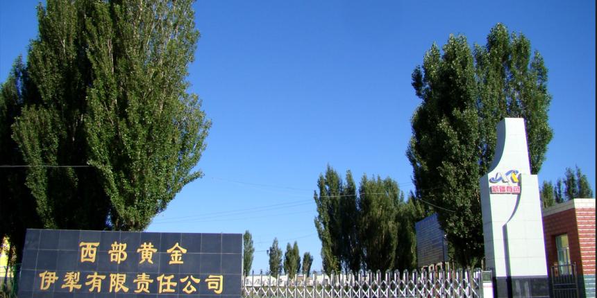 西部黄金2023年第三季度业绩说明会