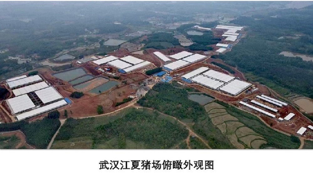 天域生物科技股份有限公司(以下简称“天域生物”)成立于2000年,总部设在上海,是上海证券交易所主板上市企业,股票代码603717。