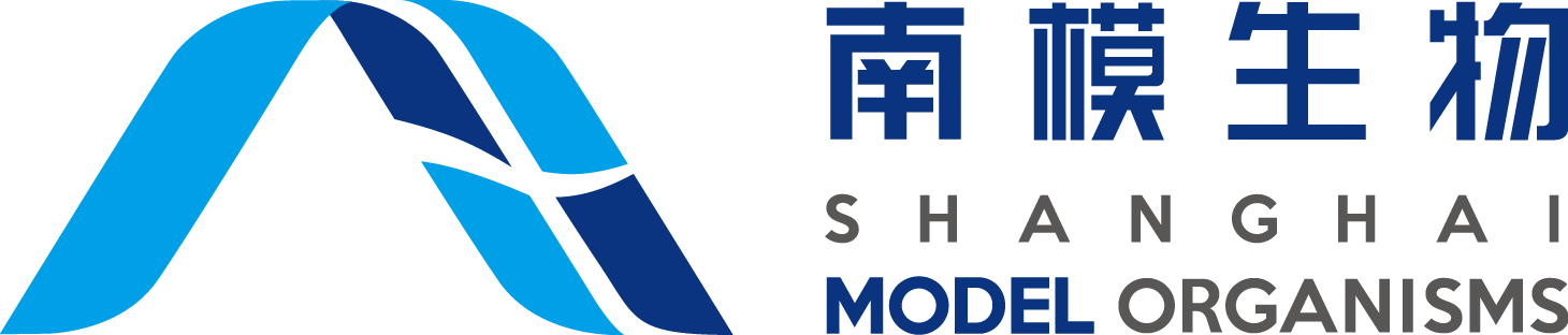 收藏 关注